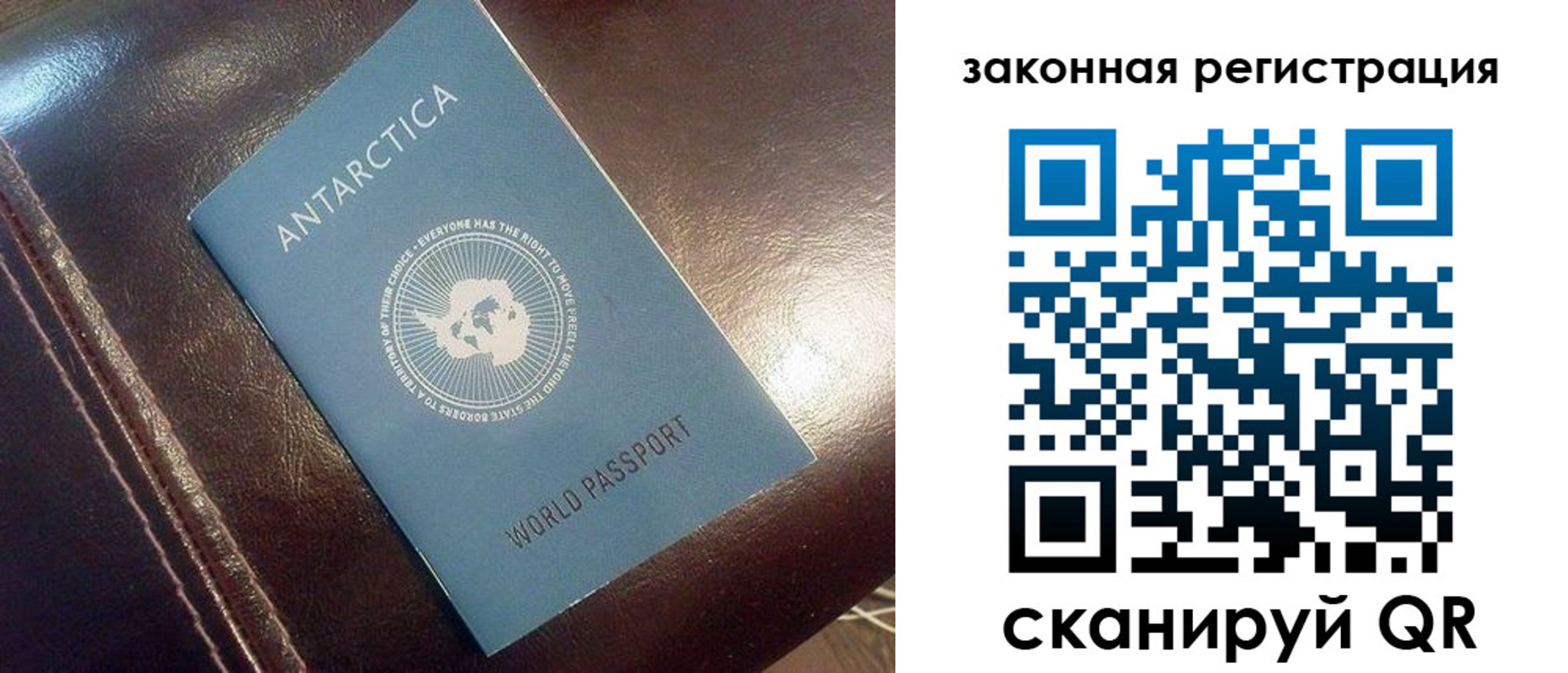 временная регистрация поиск в Полярном